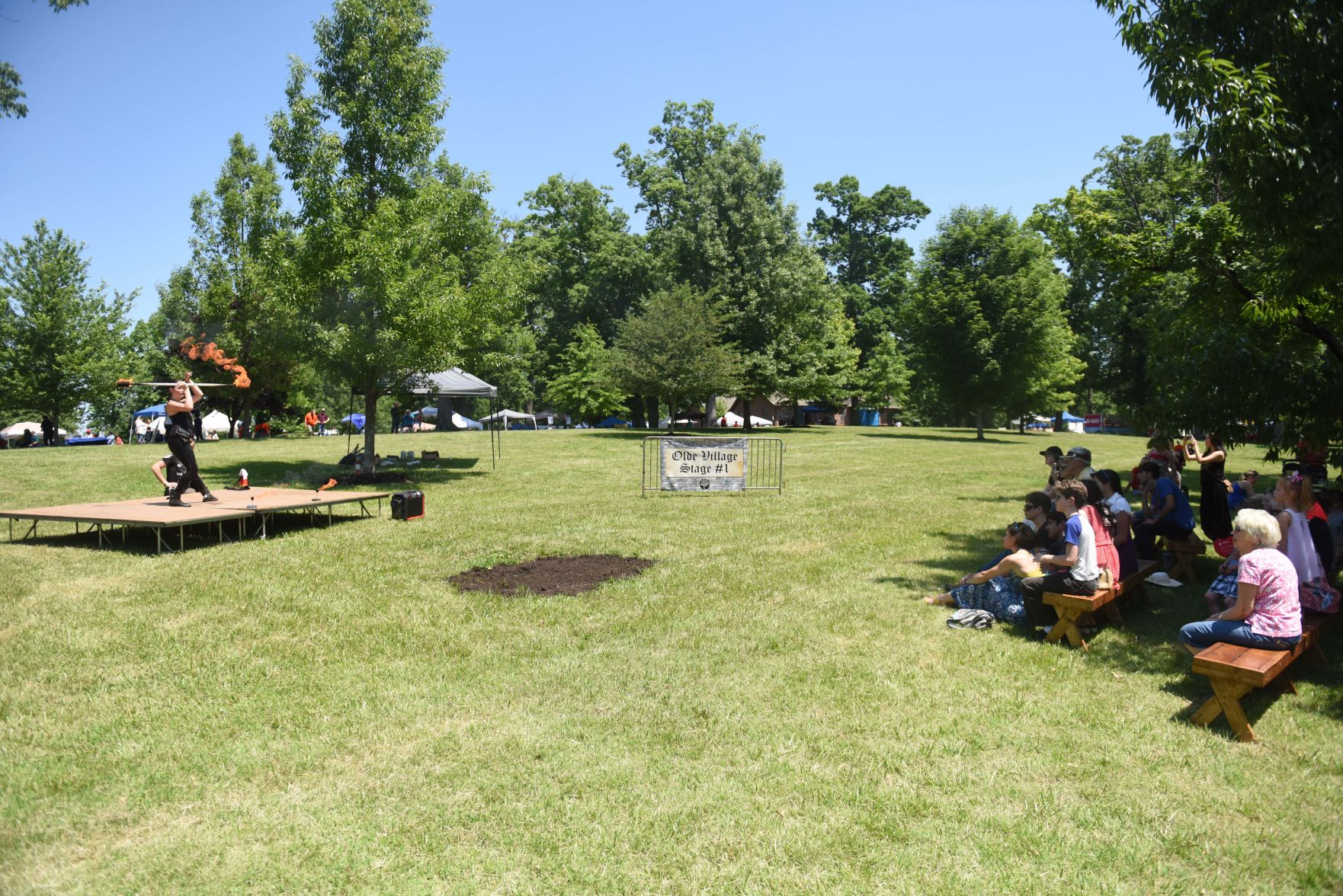 Festival in the Park